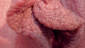 Pussy eating live on cam